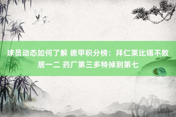 球员动态如何了解 德甲积分榜：拜仁莱比锡不败居一二 药厂第三多特掉到第七