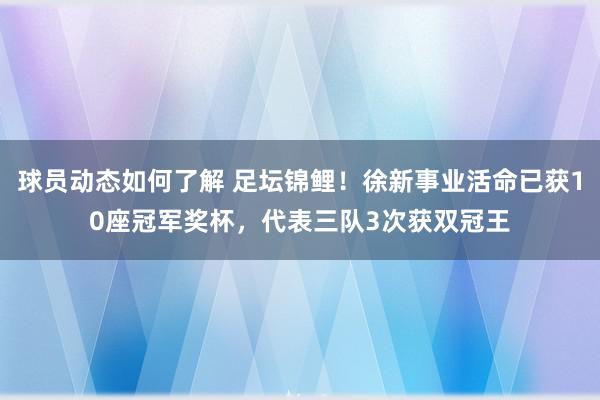 球员动态如何了解 足坛锦鲤！徐新事业活命已获10座冠军奖杯，代表三队3次获双冠王