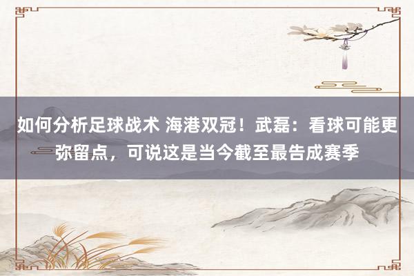 如何分析足球战术 海港双冠！武磊：看球可能更弥留点，可说这是当今截至最告成赛季