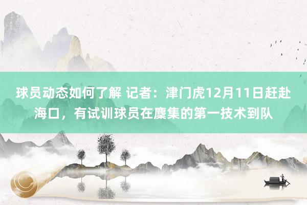 球员动态如何了解 记者：津门虎12月11日赶赴海口，有试训球员在麇集的第一技术到队