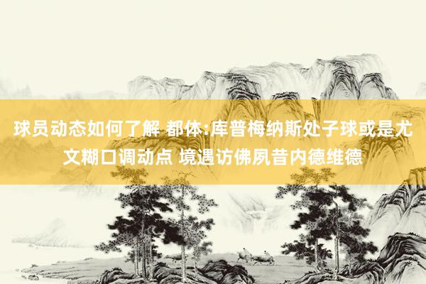 球员动态如何了解 都体:库普梅纳斯处子球或是尤文糊口调动点 境遇访佛夙昔内德维德