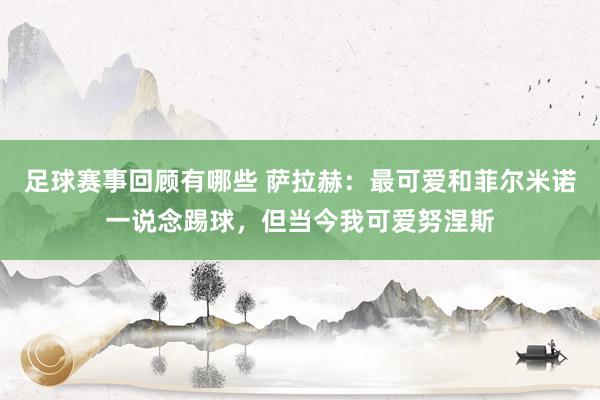 足球赛事回顾有哪些 萨拉赫：最可爱和菲尔米诺一说念踢球，但当今我可爱努涅斯