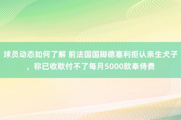 球员动态如何了解 前法国国脚德塞利拒认亲生犬子，称已收歇付不了每月5000欧奉侍费