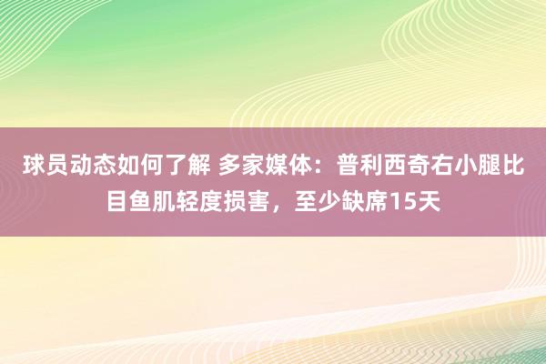 球员动态如何了解 多家媒体：普利西奇右小腿比目鱼肌轻度损害，至少缺席15天