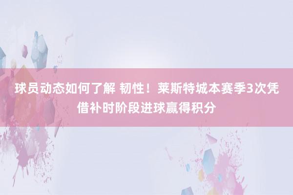 球员动态如何了解 韧性！莱斯特城本赛季3次凭借补时阶段进球赢得积分