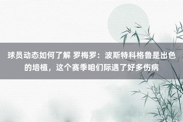 球员动态如何了解 罗梅罗：波斯特科格鲁是出色的培植，这个赛季咱们际遇了好多伤病