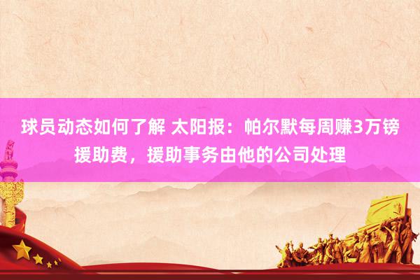 球员动态如何了解 太阳报：帕尔默每周赚3万镑援助费，援助事务由他的公司处理