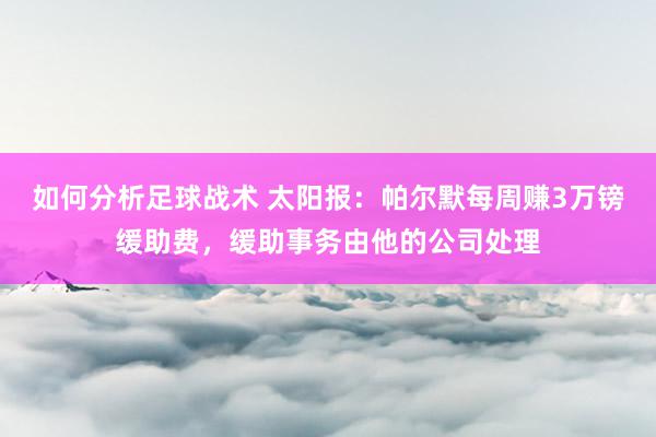 如何分析足球战术 太阳报：帕尔默每周赚3万镑缓助费，缓助事务由他的公司处理