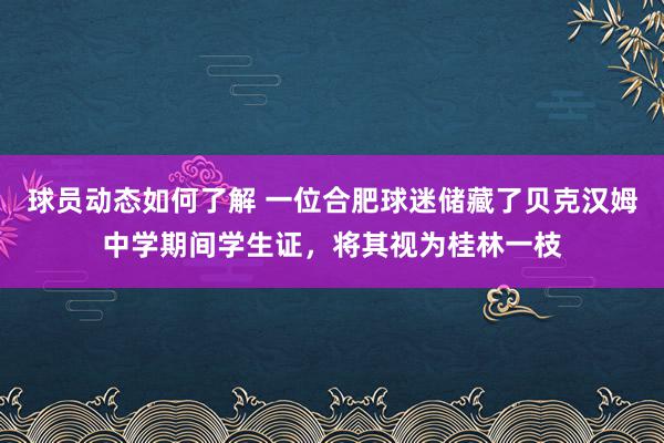 球员动态如何了解 一位合肥球迷储藏了贝克汉姆中学期间学生证，将其视为桂林一枝