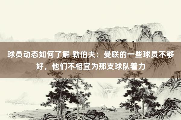 球员动态如何了解 勒伯夫：曼联的一些球员不够好，他们不相宜为那支球队着力