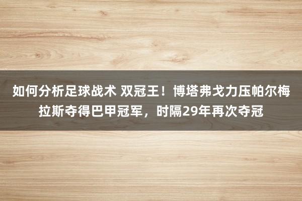 如何分析足球战术 双冠王！博塔弗戈力压帕尔梅拉斯夺得巴甲冠军，时隔29年再次夺冠