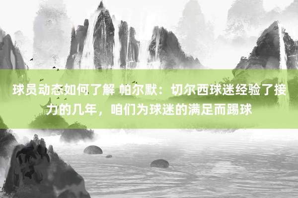 球员动态如何了解 帕尔默：切尔西球迷经验了接力的几年，咱们为球迷的满足而踢球