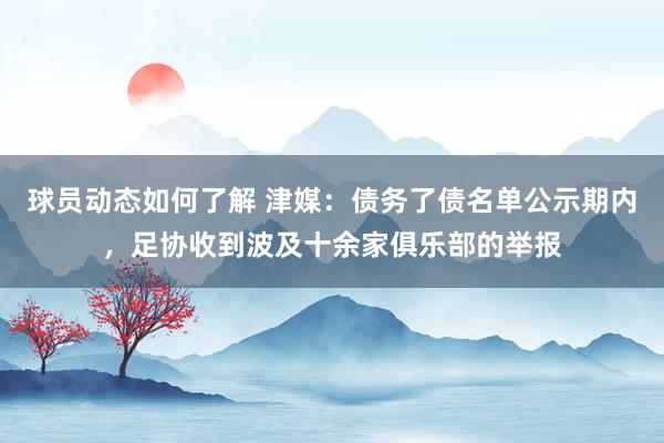 球员动态如何了解 津媒：债务了债名单公示期内，足协收到波及十余家俱乐部的举报