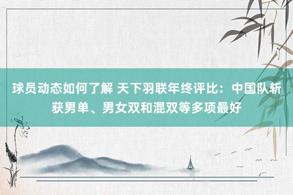 球员动态如何了解 天下羽联年终评比：中国队斩获男单、男女双和混双等多项最好