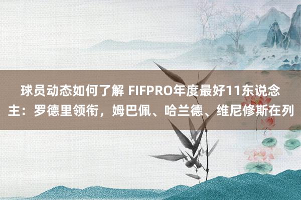 球员动态如何了解 FIFPRO年度最好11东说念主：罗德里领衔，姆巴佩、哈兰德、维尼修斯在列